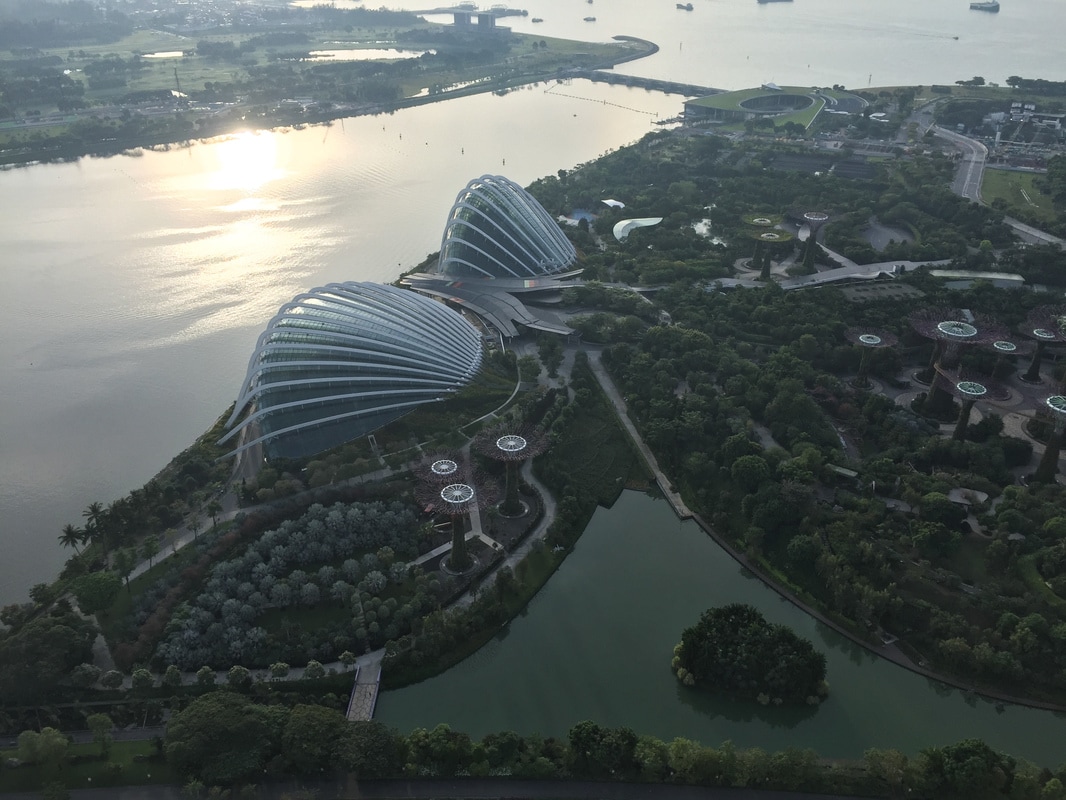 View of Gardens By The Bay from Marina Bay Sands Hotel, Singapore // Out Of Office With Rebecca
