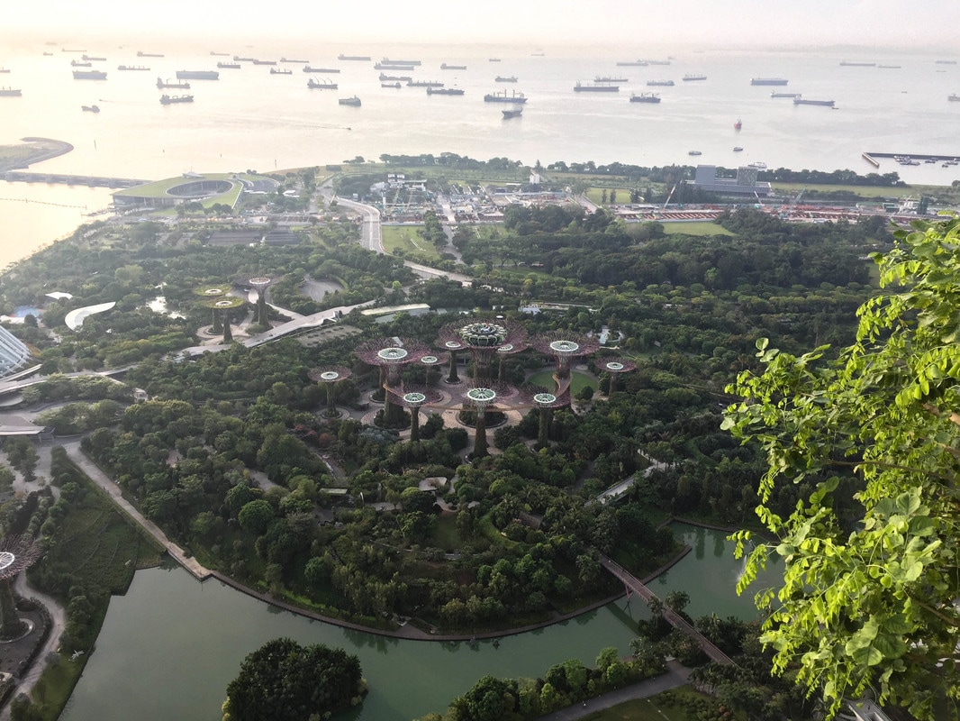 View of Gardens By The Bay from Marina Bay Sands Hotel, Singapore // Out Of Office With Rebecca
